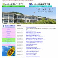 山口県立高森みどり中学校ハンドボール部